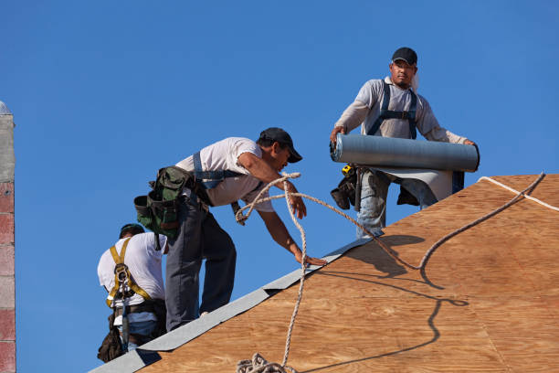 Best New Roof Installation  in Tangent, OR